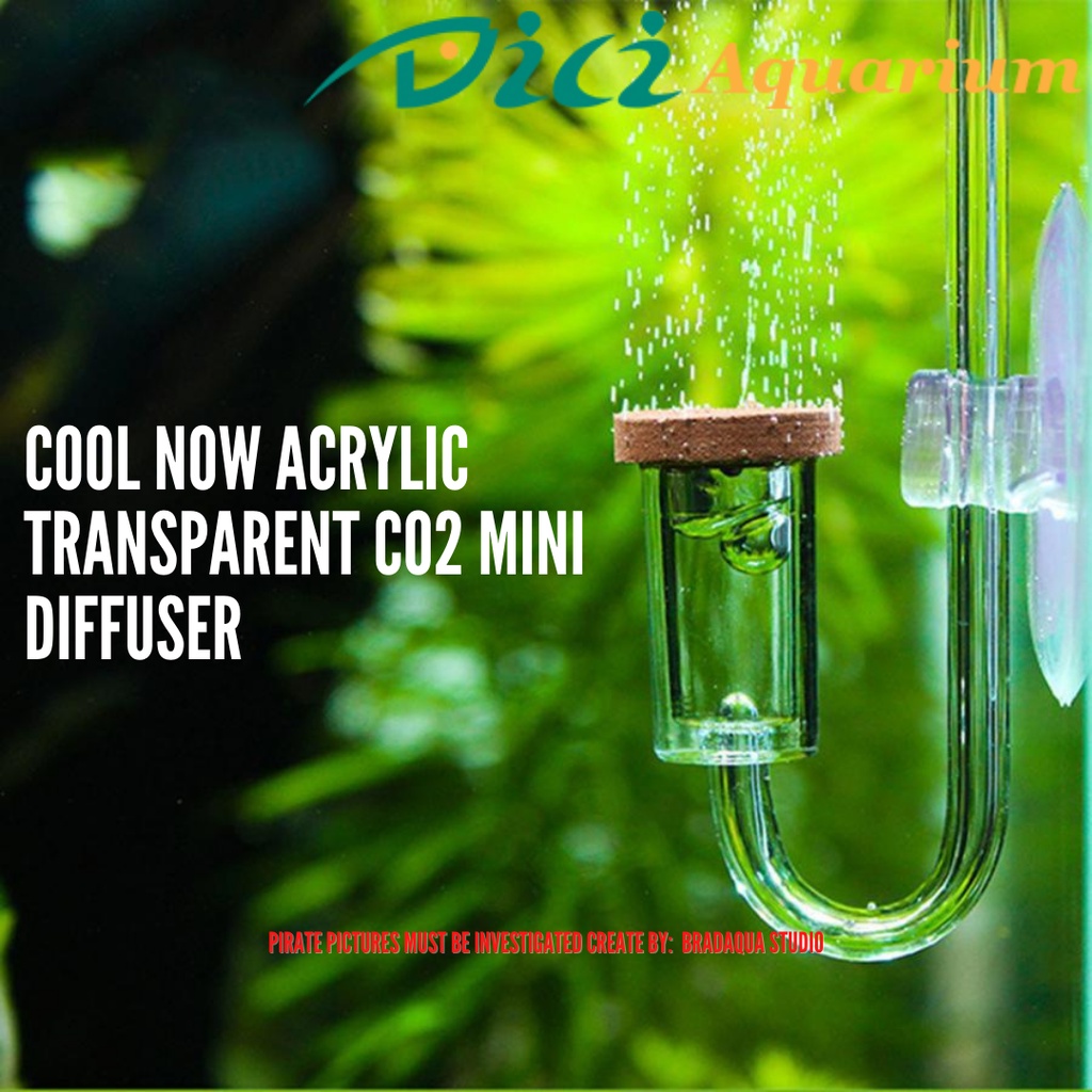 DICI Cool Now อะคริลิคโปร่งใส CO2 Mini Diffuser