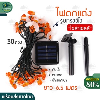 พร้อมส่ง ไฟผึ้ง ไฟแคมป์ ไฟตกแต่ง โซล่าเซลล์ LED ไฟผึ้งกันน้ำ ประประดับกระพริบ ไฟผึ้งโซล่าเซลล์ ไฟตกแต่งห้อง ไฟคริสมาส