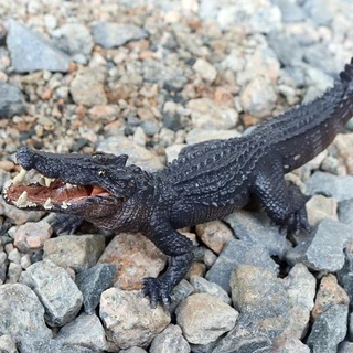Sparklegem โมเดลจระเข้ Kids Wild Life Model Creatures ของเล่นเพื่อการศึกษาสําหรับเด็ก