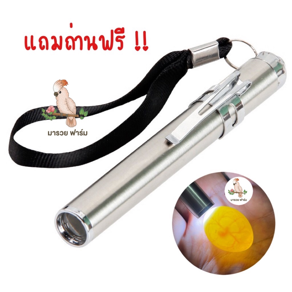 ไฟฉาย ส่องไข่ ไฟเช็คเชื้อ ไข่นกแก้ว ทุกสายพันธ์ุ💯