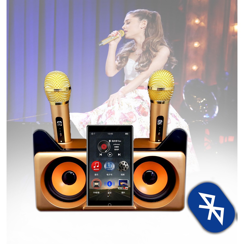 Dual Microphone Wireless Bluetooth Karaoke Portable 3D Stereo Speaker ...