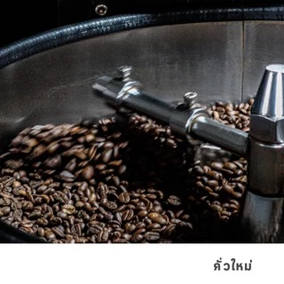 GRAPH | เมล็ดกาแฟ SIGNATURE BLEND - FRUITY FINE SET - MENTOS MANGO SMOOTHIE