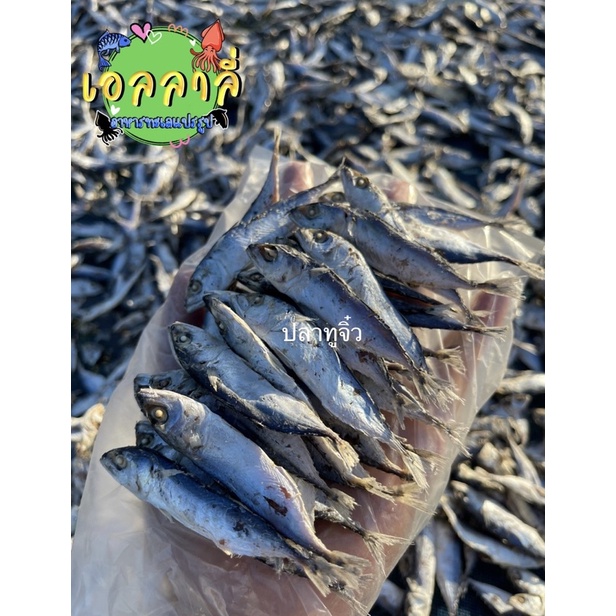 ปลาทูเล็กปลาทูจิ๋วตากแห้ง ใหม่ ปลอดสาร เค็มน้อย น้ำหนัก 1 kg