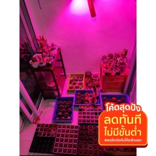 ไฟปลูกต้นไม้ ไฟปลูกพืช สปอร์ตไลท์220 โวลต์ LED 50 วัตต์ ตัวบาง