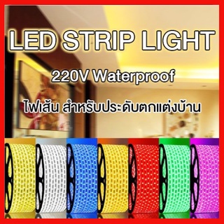 💥ไฟเส้น LED Strip ไฟสายยางท่อแบน 5050 HS ยาว100 เมตร❗ แถมฟรี ปลั๊กหัวจ่าย 5 ตัว