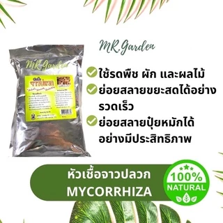 PTA 500g. หัวเชื้อจาวปลวก แบบผง กลุ่มเชื้อราไมคอร์ไรซ่า Mycorrhiza