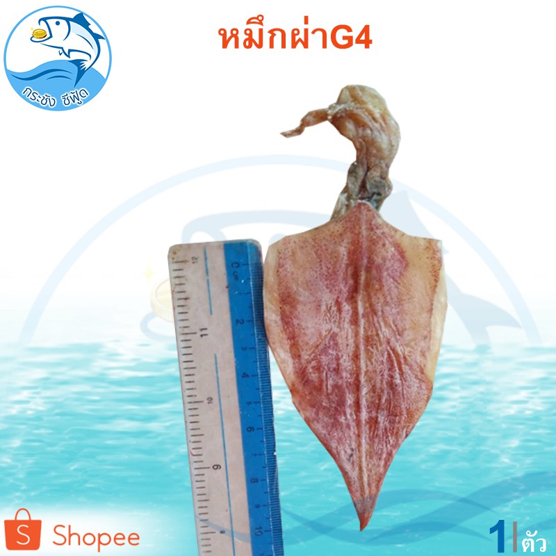 หมึกผ่า G4 1ตัว หมึก หมึกแห้ง ปลาหมีกแห้ง หมึกผ่าจืด หมึกผ่าแห้ง หมึกผ่าตากแห้ง ของทะเลแห้ง ของฝาก