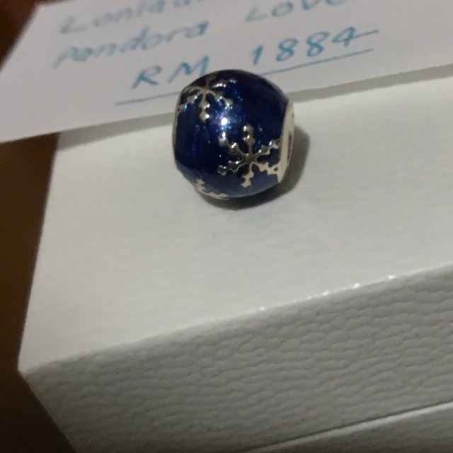 NEW pandora charm