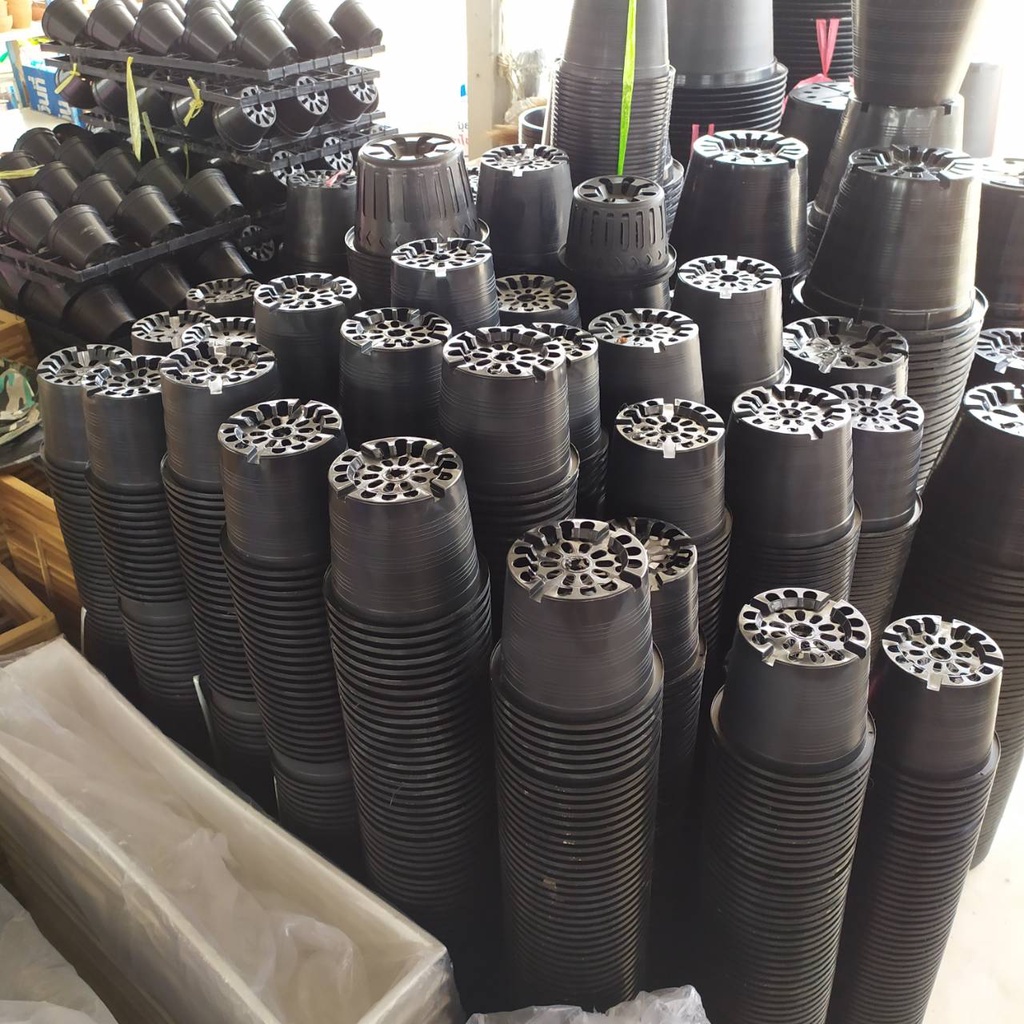 กระถางต้นไม้ 8 นิ้ว แพคละ 50 ใบ กระถางพลาสติกเกรด A คุณภาพดีเหนียวทนทาน
