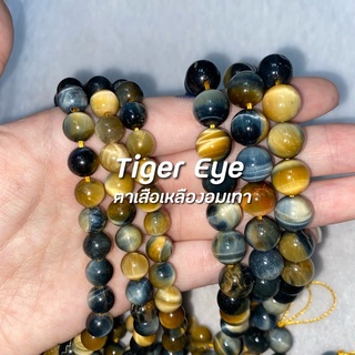 Tiger Eye (ตาเสืออมเทา)