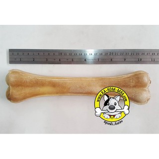 กระดูกอัด (Press Bone) 10.5 นิ้ว  1ชิ้น