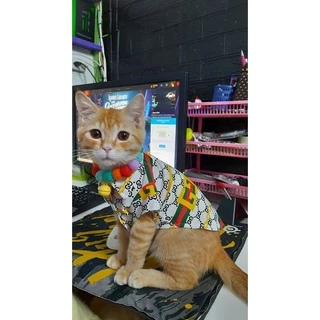 เสื้อเชิ้ต สุนัขและแมว พร้อมส่ง ทรงหลวมใส่สบาย แฟชั้นฤดูร้อน ผ้าไหมอิตาลี