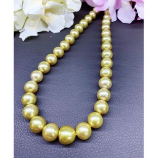 สร้อยคอมุกเซาท์ซีแท้สีทองสดเงางาม 💕CLASSY GOLDEN SOUTH SEA PEARL NECKLACE! SUPER LUSTROUS, FINE clean and high quality!