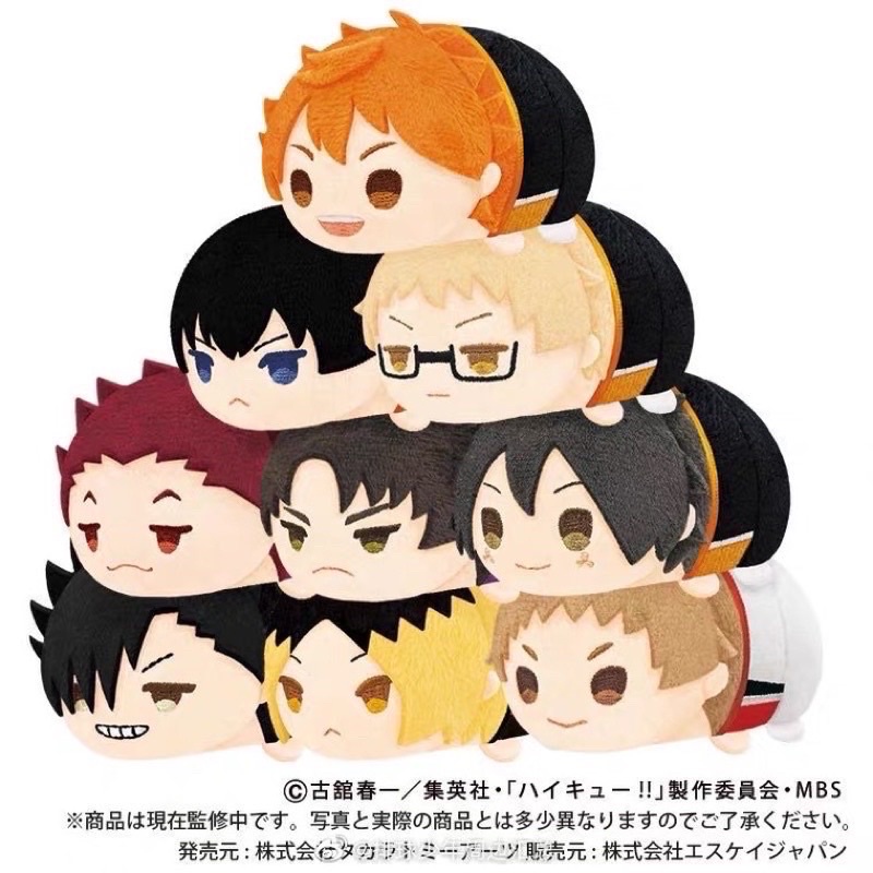 พร้อมส่ง โมจิไฮคิว โมจิHaikyuu ตุ๊กตาบิ๊กโมจิ Haikyuu ไฮคิวไซส์ MS คู่ตบฟ้าประทาน  ไฮคิวคู่ตบฟ้าประท