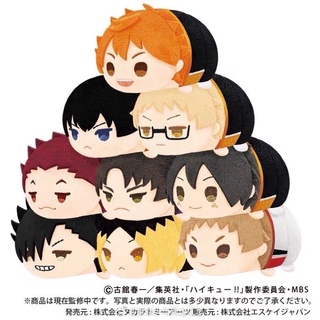 พร้อมส่ง โมจิไฮคิว โมจิHaikyuu ตุ๊กตาบิ๊กโมจิ Haikyuu ไฮคิวไซส์ MS คู่ตบฟ้าประทาน  ไฮคิวคู่ตบฟ้าประทาน โมจิ mochi