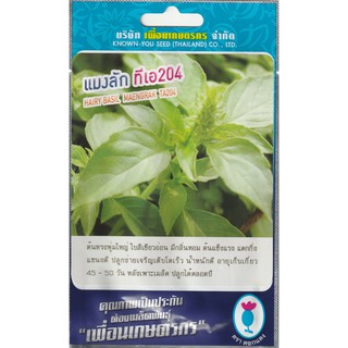 เมล็ดพันธุ์ แมงลัก ทีเอ 204 - Hairy Basil Maengrak ตราดอกแตง เมล็ดพันธุ์ เมล็ดผัก คุณภาพ "เพื่อนเกษตรกร"