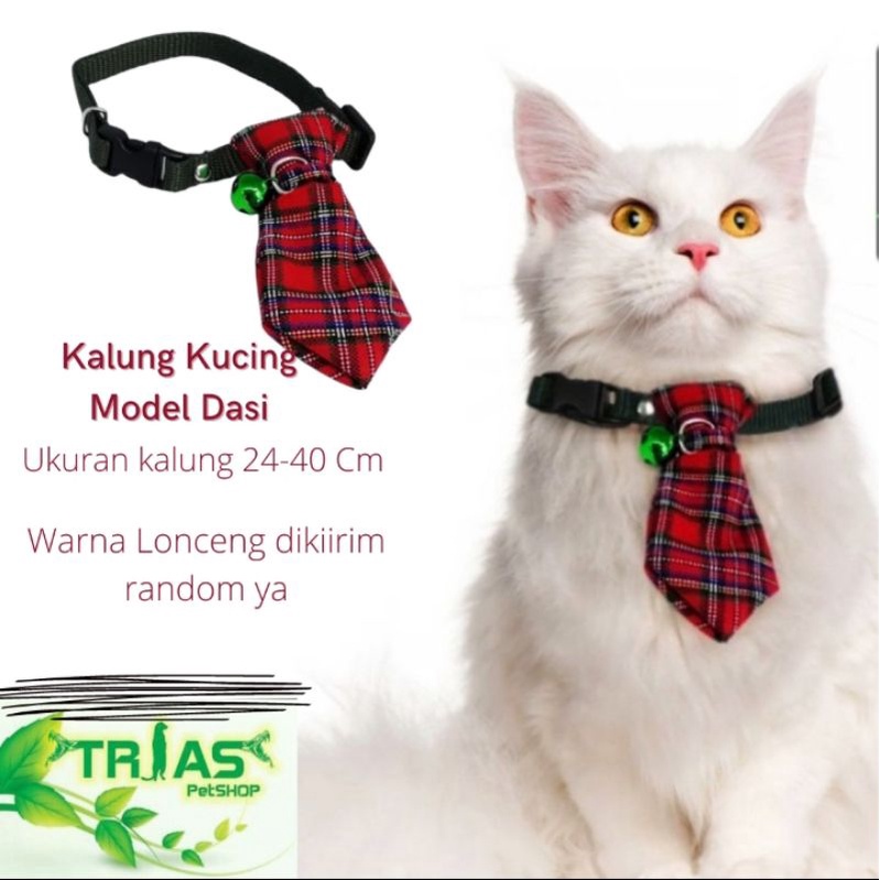 TIE CAT สร้อยคอ (4 MM BELL) เกรด A BELL RAILS/IE CAT สร้อยคอ/แมว TIE/แมว DECORTATION/RABBIT สร้อยคอ/