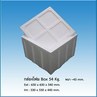 กล่องโฟม ลังโฟม BOX 54 KG. ** จำกัด 1 ใบต่อ 1 คำสั่งซื้อ