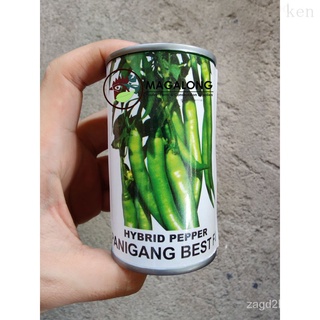 CONDOR SEEDS - PEPPER SEEDS - PANIGANG BEST F1 HYBRID 320 Seeds - JR CAN / LIGO CANหมวก/บ้านสวน/กระโปรง/แอปเปิ้ล/ผู้ชาย/