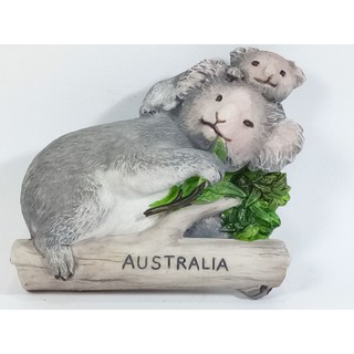 แม่เหล็กติดตู้เย็นนานาชาติสามมิติ รูปหมีโคอาลา ออสเตรเลีย 3D fridge magnet Coala Australia