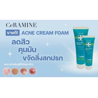 แอคเน่ ไลค์ ไมตาเกะ พลัส อาร์ติโช๊ค แอคเน่ โฟม (ACNE LINE MAITAKE PLUS ARTICHOKE ANCE FOAM)