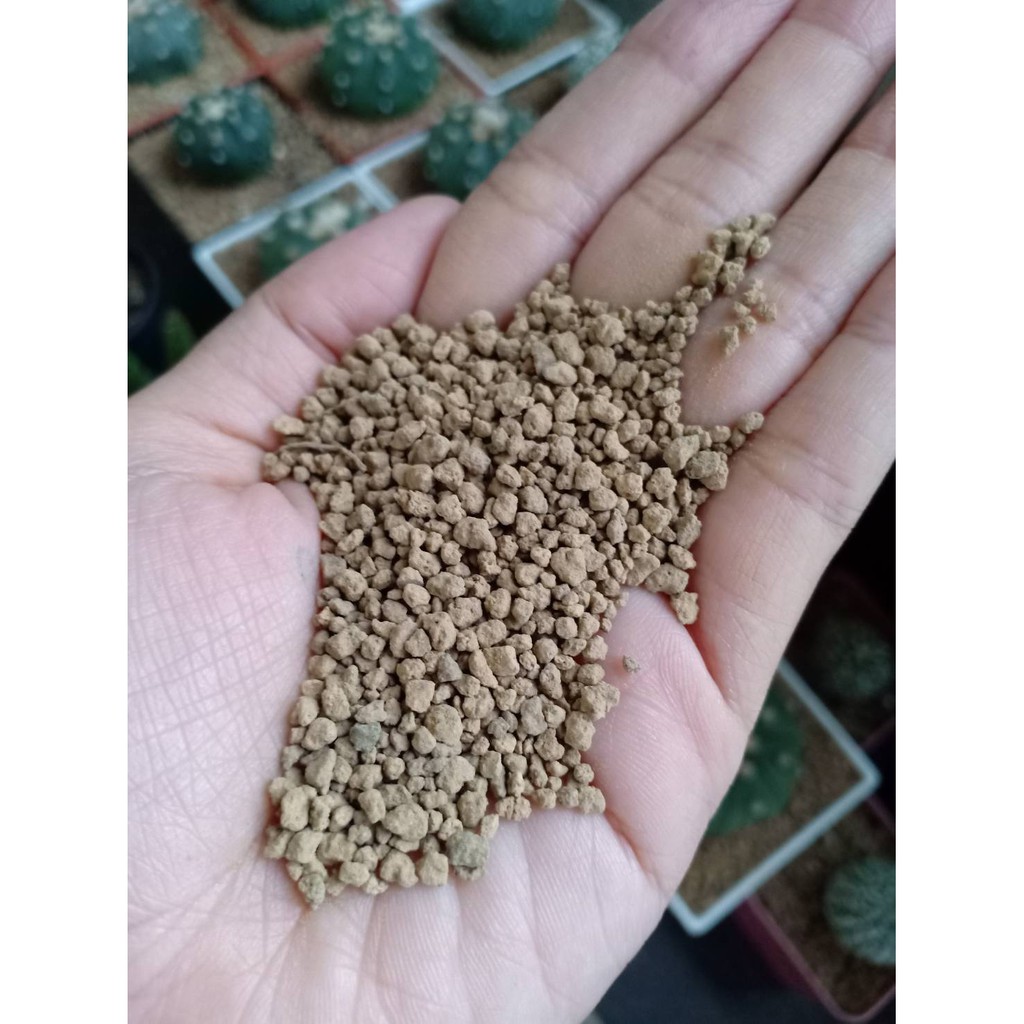 ดินญี่ปุ่น Akadama โรยหน้ากระถาง