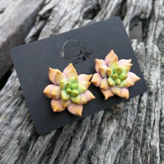 ต่างหูไม้อวบน้ำ​ ต่างหูกุหลาบหิน​ Succulent wooden earrings