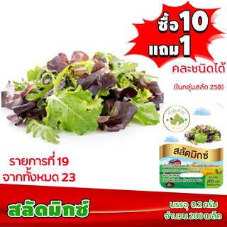 [ซื้อ10แถม1 + ฟรีคู่มือ] เมล็ดพันธุ์ สลัดมิกซ์ MIXED LETTUCE  (0.2 กรัม 200 เมล็ด) ทำมะชาดฟาร์ม  ผักสลัด เมล็ดพันธุ์สลัด