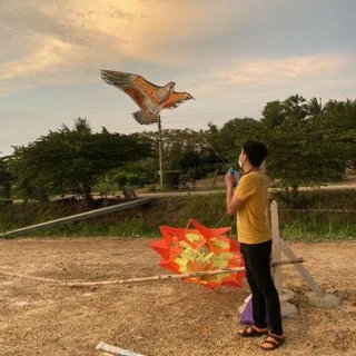 🦅(พร้อมส่ง) ว่าว นกอินทรีย์ ขนาดกลาง 150-160 ซม ว่าวไล่นก ว่าวไล่ศัตรูพืช