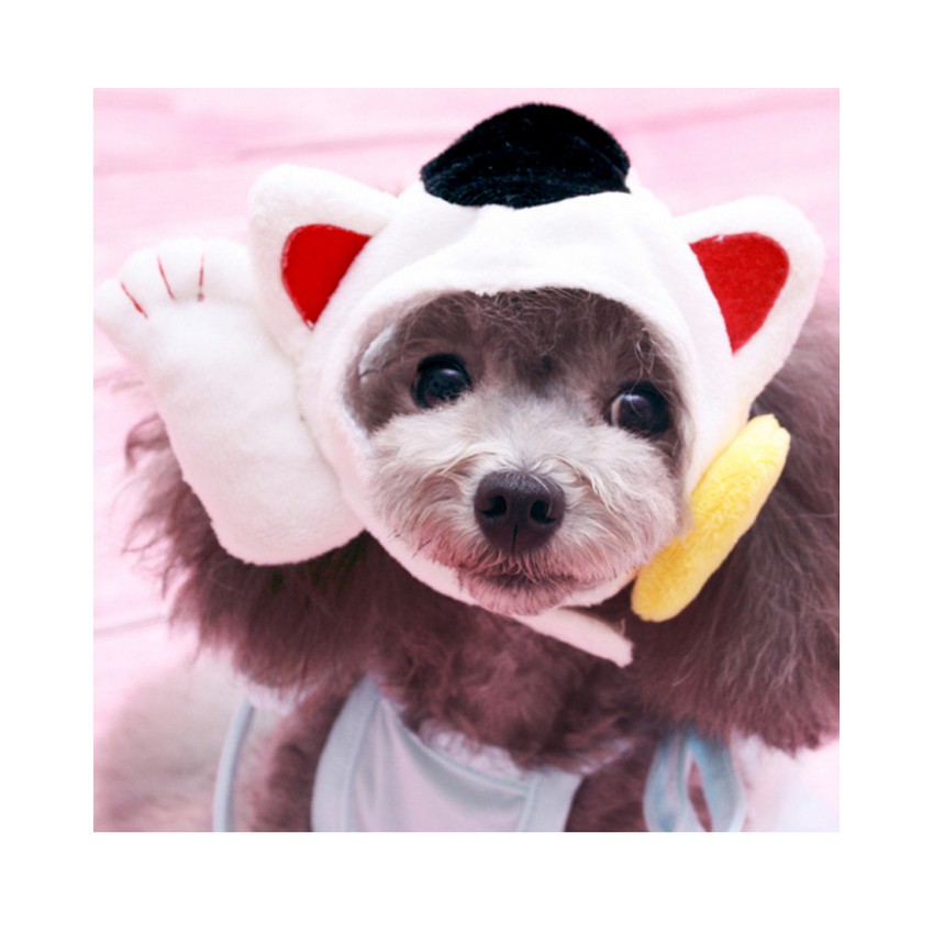 Lucky Cat หมวกสัตว์เลี้ยง หมวกสุนัข หมวกหมา หมวกแมว หมวกแฟนซี