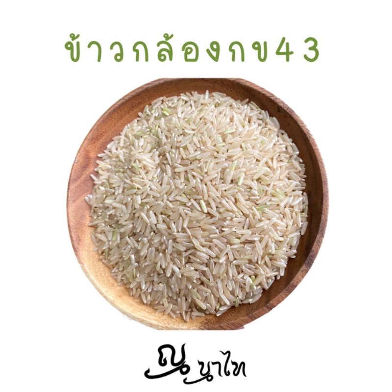 ข้าวดัชนีน้ำตาลต่ำ กข43 มีทั้ง ข้าวกล้อง และข้าวขาว
