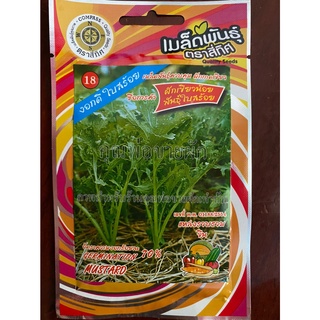 เมล็ดผักเขียวน้อย 10 แถม 1 ผักเขียวน้อยพันธุ์ใบสร้อย mustard เมล็ดพันธุ์ผัก