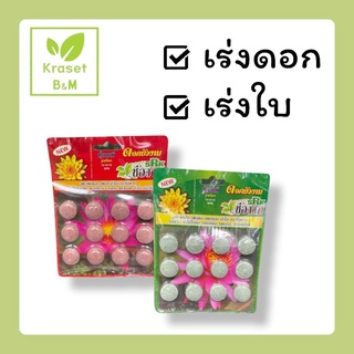 แหล่งขายและราคาปุ๋ยดอกบัว ปุ๋ยบัว ปุ๋ยไม้น้ำ ตราช่องาม | เร่งดอก | แตกหน่อ | เร่งใบอาจถูกใจคุณ