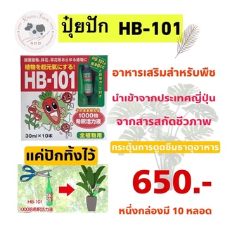 ปุ๋ยปัก HB-101 Ampoule