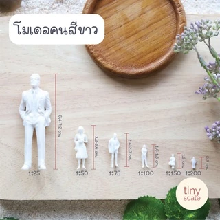 โมเดลคนสีขาว โมเดลคนจิ๋ว เสกล 1:25/1:50/1:75/1:100/1:150/1:200