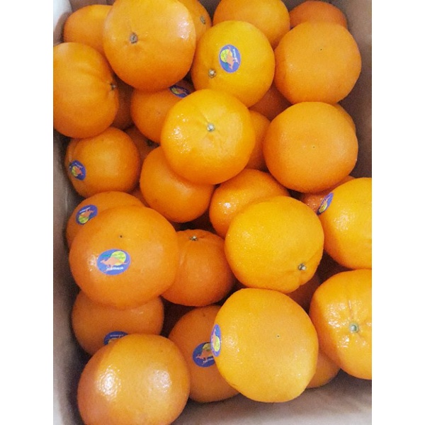 ส้มใต้หวัน 🍊1 kg.🍊ไซร์ L,XL หวาน หอม อร่อย แช่เย็นชื่นใจ🍊🍊 สั่งเลย✔✔ - รูปที่ 3
