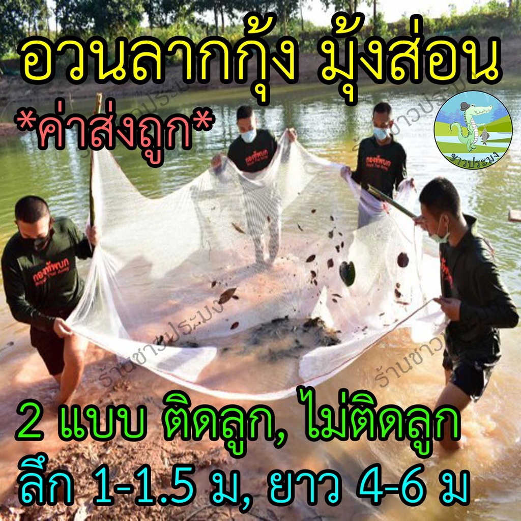 My Image 13
