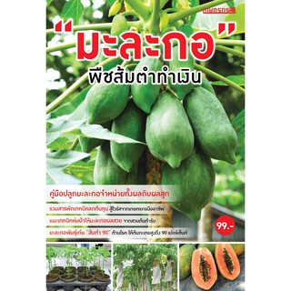 Maeban Publishing หนังสือมะละกอ พืชส้มตำทำเงิน