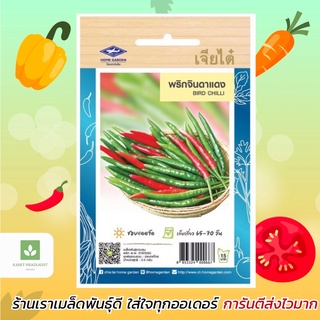 พริกจินดาแดง เจียไต๋ เมล็ดพันธุ์พริก พริก