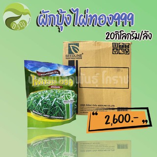 เมล็ดพันธุ์ ผักบุ้งไผ่ทอง999