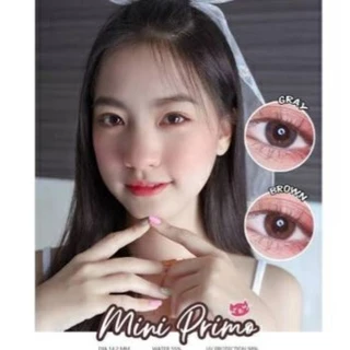 💖 Kitty kawaii ๑ mini Primo สายตา -00 ถึง -1000 brown gray Contact lens ราคาถูก คอนแทคเลนส์ บิ๊กอาย ฟรีตลับ