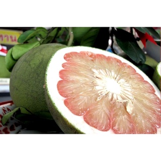 ส้มโอมองดี(Pomelo)หวานฉ่ำอร่อย/สดจากสวน/ไซส์Sx5ลูก