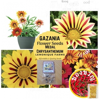 High Quality Gazania Flower Seeds Mixผู้ชาย/ดอกไม้/สวน/แอปเปิ้ล/แม่และเด็ก/พาสต้า/เสื้อ/กุหลาบ/เมล็ด/สร้อยข้อมือ/ DRK1