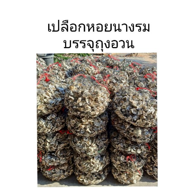 💥สั่งได้3ถุงคะ💥เปลือกหอยนางรม บรรจุถุงอวน 7 KG วัสดุกรองหยาบ