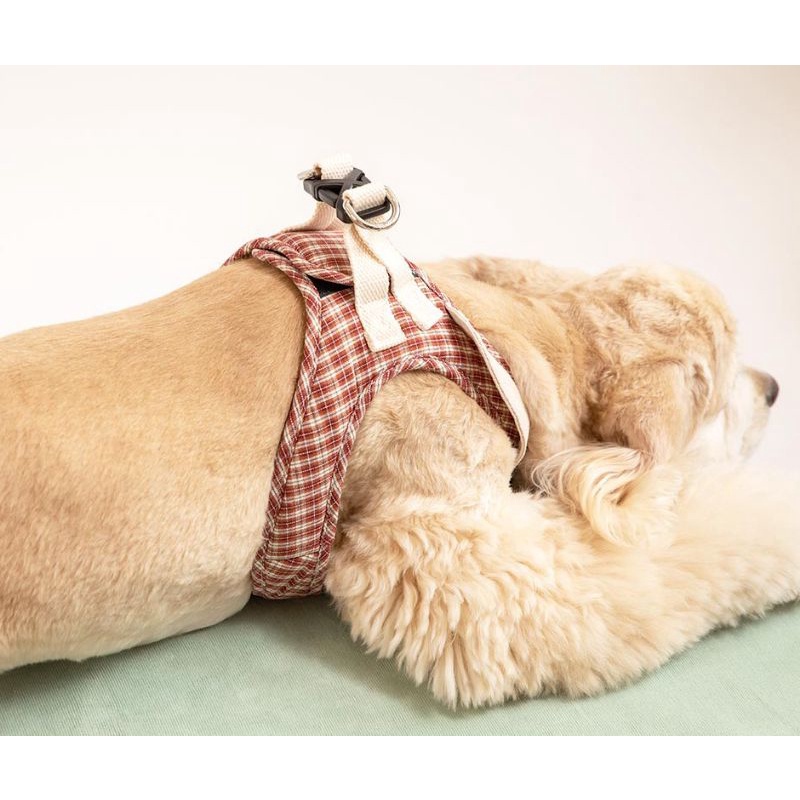 Puppy Gallery  เสื้อรัดอกสุนัข สายรัดอกสุนัข เสื้อสายจูงสุนัข รุ่นคอปก Marron Check Collar Harness สไตล์เกาหลี รูปที่ 3