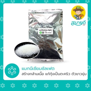 แมกนีเซียมซัลเฟต Magnesium Sulfate 1 กก. แก้กุ้งเป็นตะคริว ตัวขาวขุ่น แร่ธาตุปลูกพืชไฮโดร🌳 สบายดีซัพพลายแอนด์โค