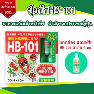 (ยกกล่อง) Hyponex Ampoule ไฮโปเน็กซ์ แอมเพิล HB-101 ปุ๋ยน้ำ ปุ๋ยปักญี่ปุ่น บำรุงต้นไม้ ไม้ด่าง นำเข้าจากญี่ปุ่น