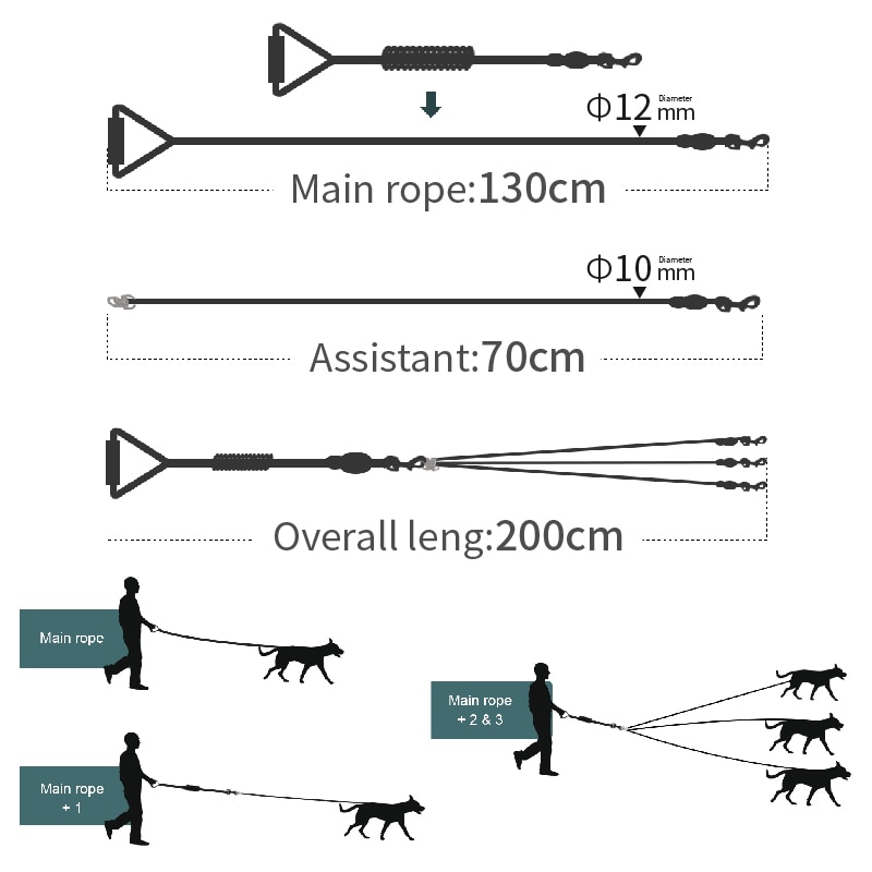 New Rainbow Multi Dogs Leash Nylon Detachable Pet Lead foam handle 1 ...