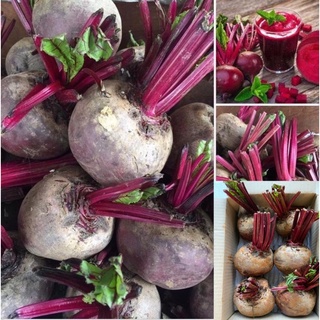 บีทรูทสด beetroot 1 กิโลกรัม (จำนวน 3-4 หัว)