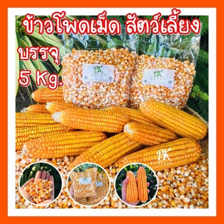 ข้าวโพดเม็ด เม็ดเต็ม 5 กิโลกรัม เลี้ยงสัตว์ พันธ์ 888 999 339 และ S7 อาหารสัตว์ ข้าวโพดบด อาหารนก อาหารไก่ สัตว์เล็ก คัด